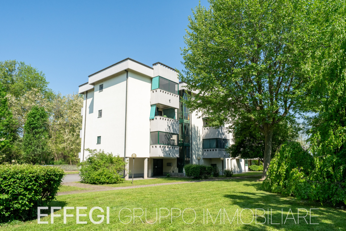 file-31
